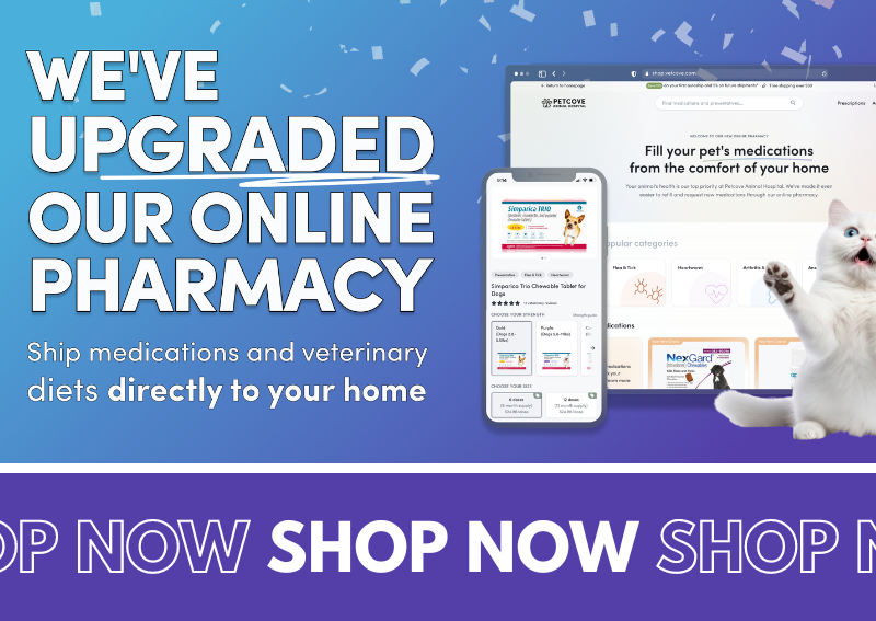 Carousel Slide 2: Shop our online store and pharmacy!